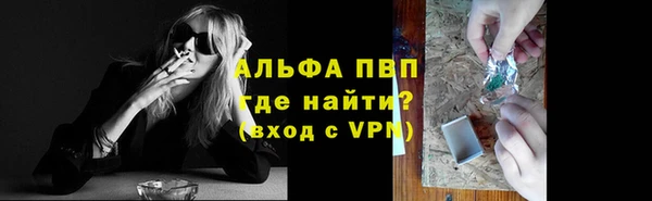 твердый Бородино