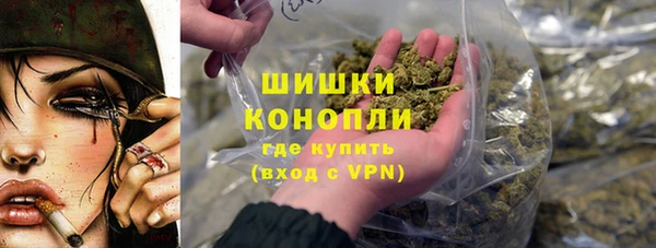твердый Бородино
