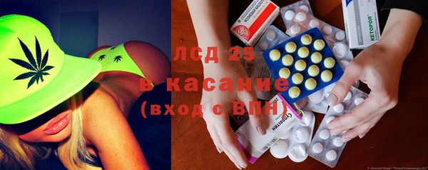 метадон Богданович