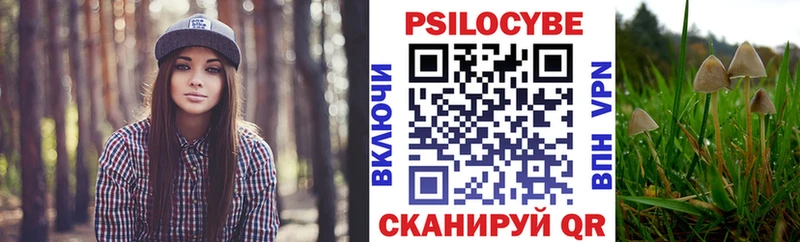 Купить  Нижние Серги  Галлюциногенные грибы Psilocybine cubensis 