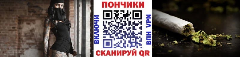 Бошки Шишки VHQ  Купить закладки  Нижние Серги 